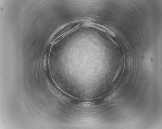 X0000054450064200508191647