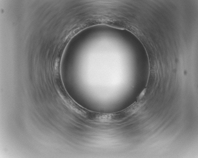 X0000054450084200508191648