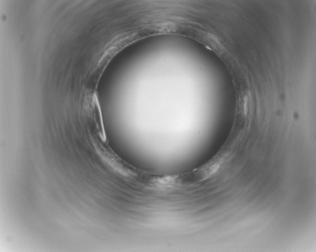 X0000054450092200508191648