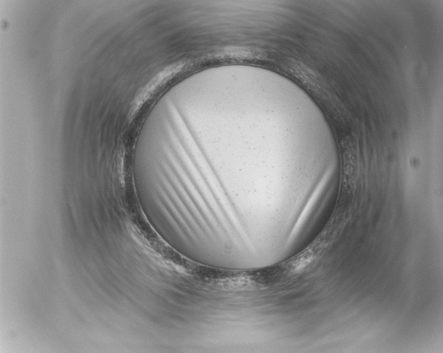 X0000054450112200508191647