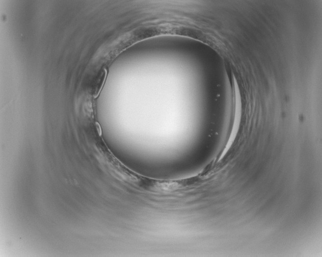 X0000054450137200508191646