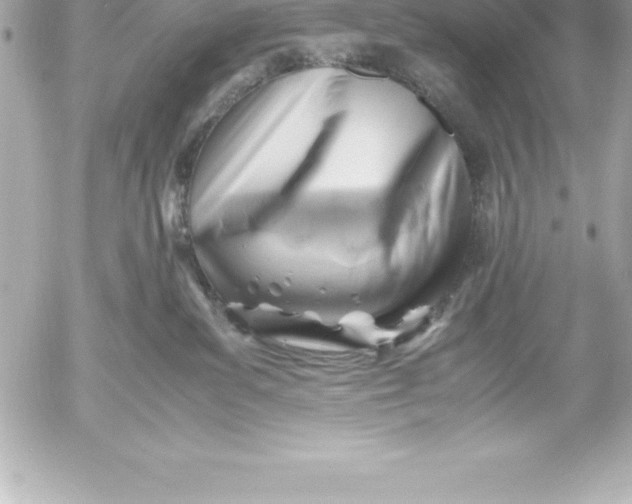X0000054450139200508191646
