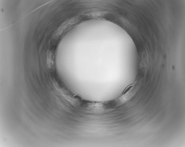 X0000054450140200508191646