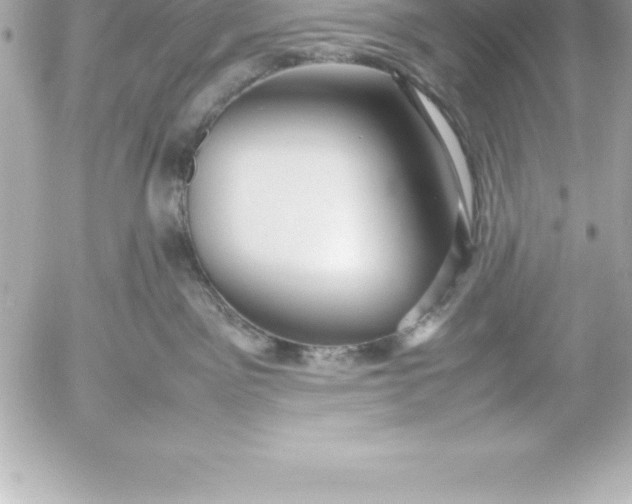 X0000054450141200508191646