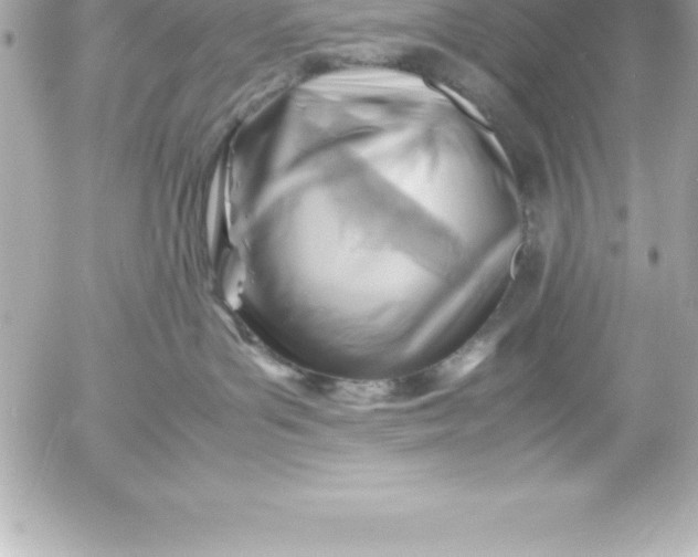 X0000054450143200508191646
