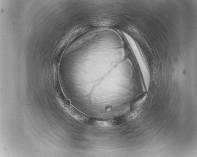 X0000054450167200508191646