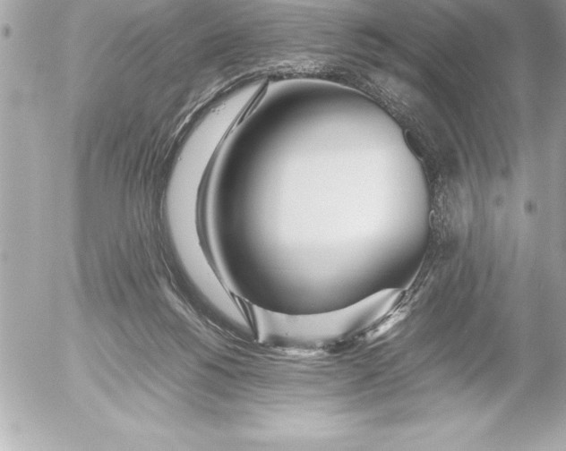 X0000054450168200508191646