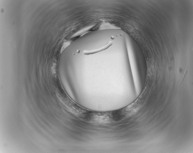 X0000054450175200508191646