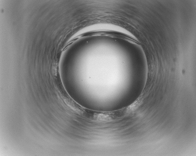 X0000054450180200508191646
