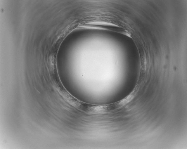 X0000054450184200508191646