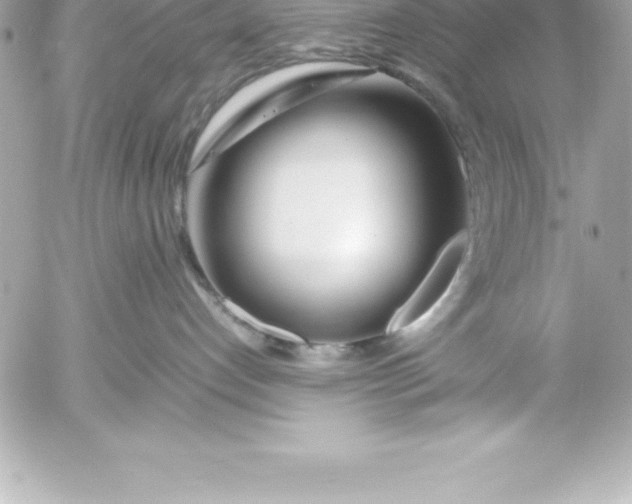 X0000054450192200508191646