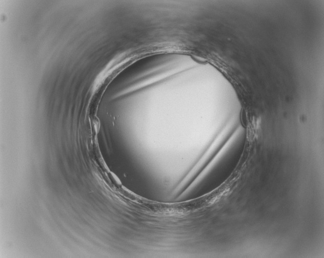X0000054450198200508191645