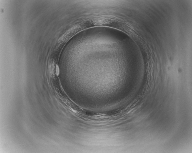 X0000054450219200508191645