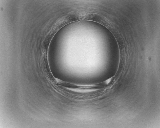 X0000054450225200508191645
