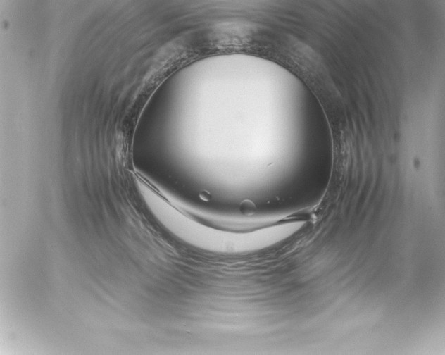 X0000054450228200508191645