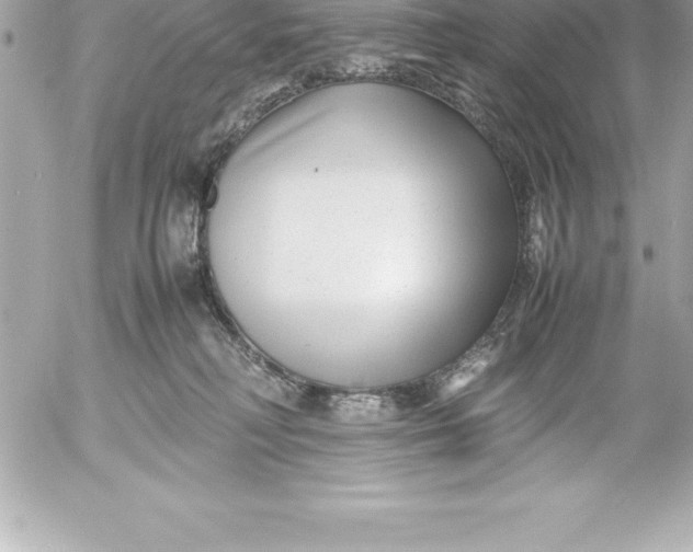X0000054450230200508191645