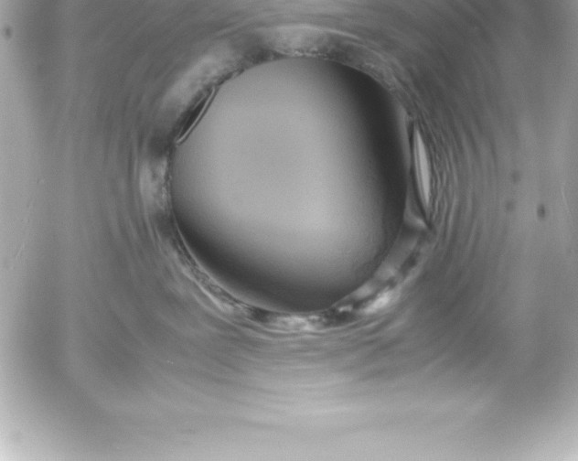 X0000054450239200508191645
