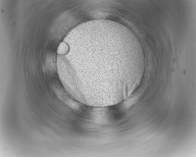 X0000054450240200508191645