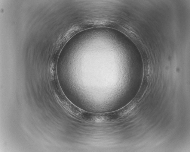 X0000054450264200508191644