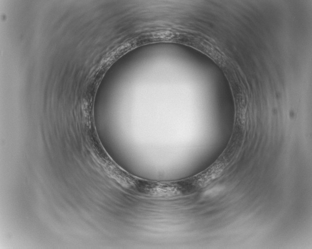 X0000054450270200508191644
