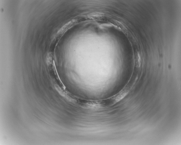 X0000054450284200508191644