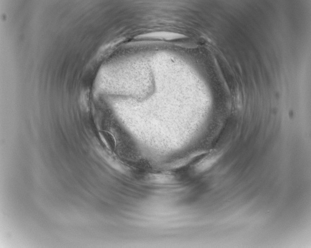 X0000054450286200508191645