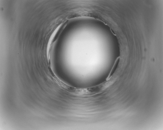 X0000054450288200508191645