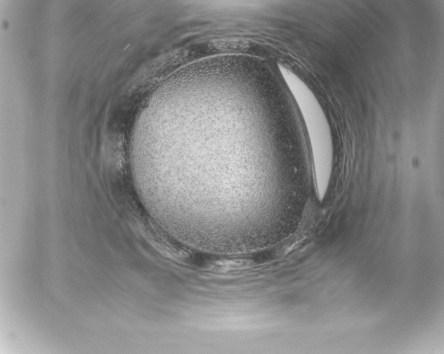 X0000054450323200508191643