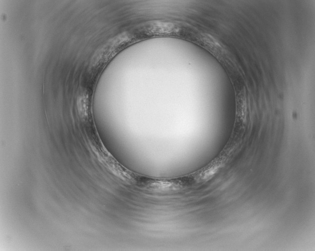 X0000054450326200508191643