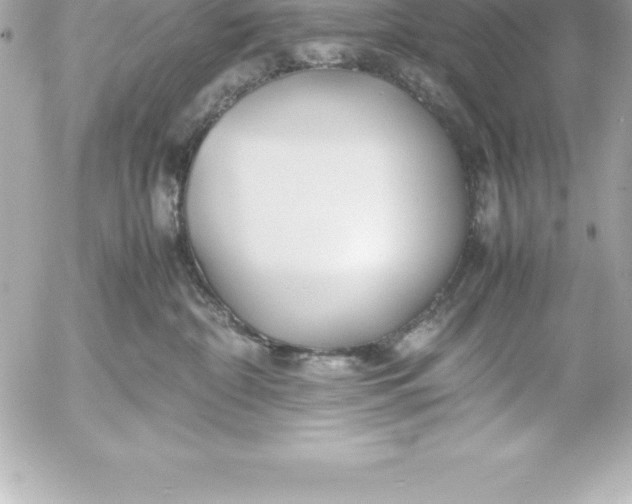X0000054450332200508191643