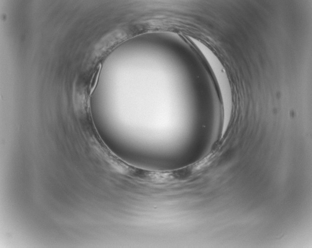 X0000054450333200508191643