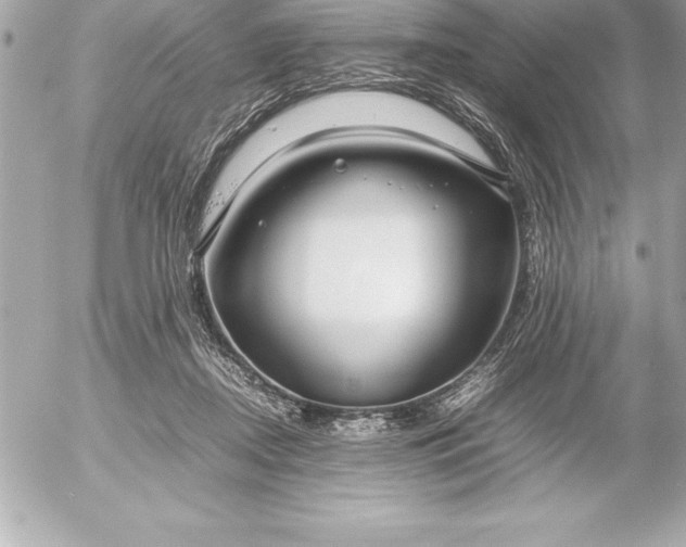 X0000054450362200508191643