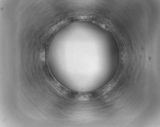 X0000054450368200508191643