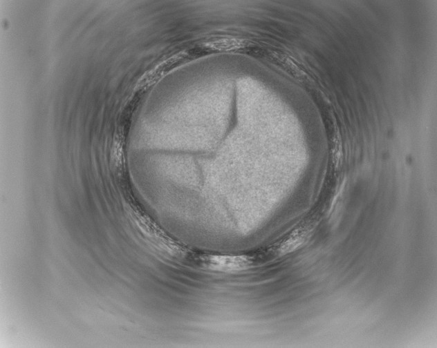 X0000054450371200508191643