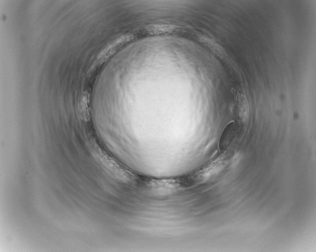 X0000054450378200508191643