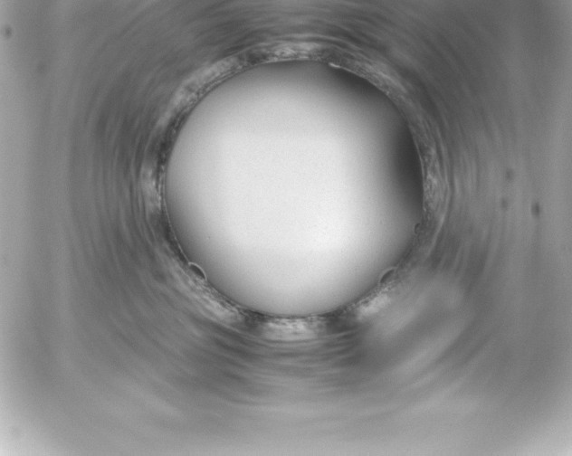 X0000054450381200508191643