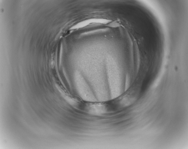 X0000054450383200508191643