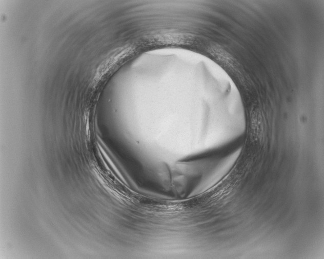 X0000054450398200508191642