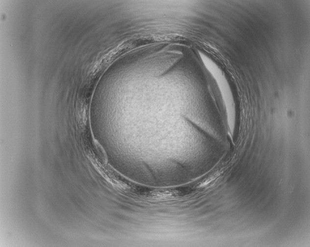 X0000054450405200508191642
