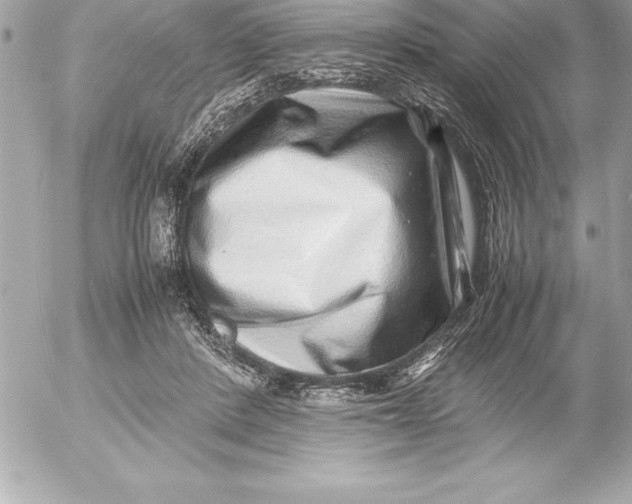 X0000054450408200508191642