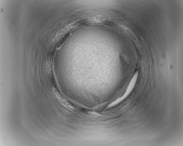 X0000054450409200508191642