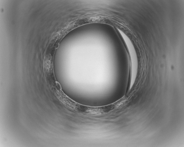 X0000054450417200508191642