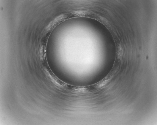 X0000054450428200508191641