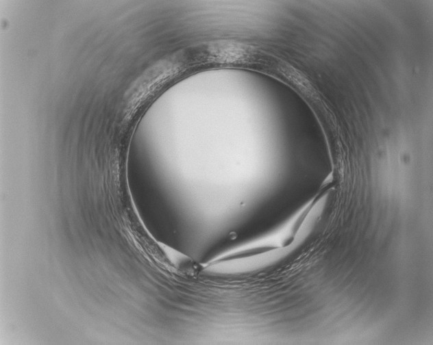 X0000054450442200508191641