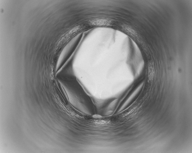 X0000054450453200508191641