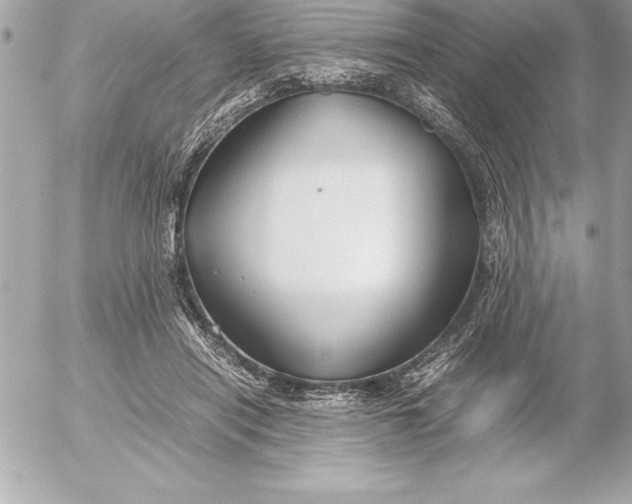 X0000054450454200508191641