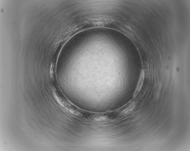 X0000054450456200508191641