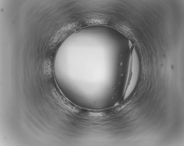 X0000054450457200508191641
