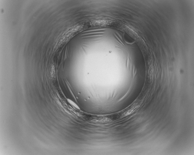 X0000054450459200508191641