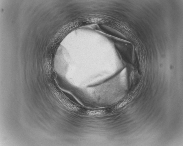 X0000054450461200508191641